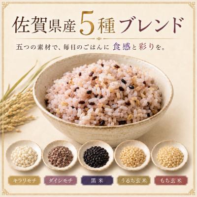 ふるさと納税 鳥栖市 【雑穀5】1kg×4袋(佐賀県産　五穀米)(鳥栖市) |  | 01