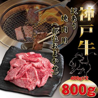ふるさと納税 豊岡市 神戸牛 訳あり おまかせ 焼肉用 計800g TYY1-2[2026年4月より順次発送]