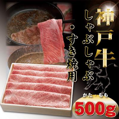 ふるさと納税 豊岡市 神戸牛(神戸ビーフ) しゃぶしゃぶ・すき焼き用 500g TYS2 [2026年4月より順次発送]