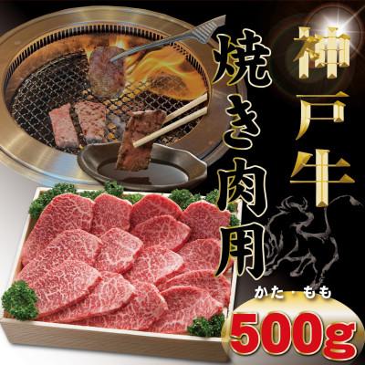 ふるさと納税 豊岡市 神戸牛(神戸ビーフ) 焼き肉用 500g TYY2 [2026年4月より順次発送]
