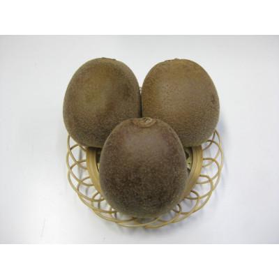 ふるさと納税 小豆島町 [数量限定]大玉さぬきエンジェルスイートキウイ 約700g以上