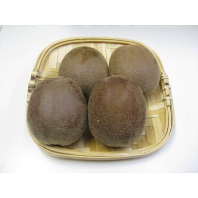 ふるさと納税 坂出市 [数量限定]大玉さぬきエンジェルスイートキウイ 約800g以上