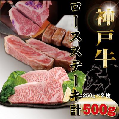 ふるさと納税 豊岡市 神戸牛(神戸ビーフ) サーロインステーキ 計500g TYST5 [2026年4月より順次発送]