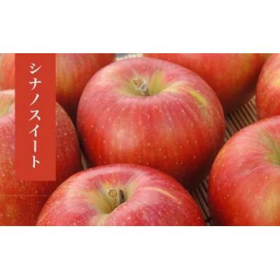 ふるさと納税 小布施町 [2026年発送]シナノスイート 約5kg 10〜18玉