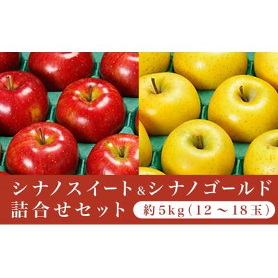 ふるさと納税 小布施町 [2026年発送]長野県りんごの味比べ 約5kg 12〜18玉 シナノスイート シナノゴールド
