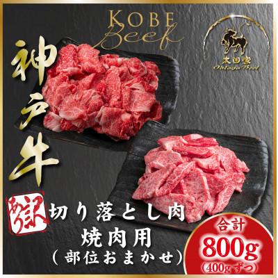 ふるさと納税 朝来市 訳あり 神戸牛 切り落とし肉&amp;焼肉用 計800g ASGSY2 [2026年4月より順次発送]