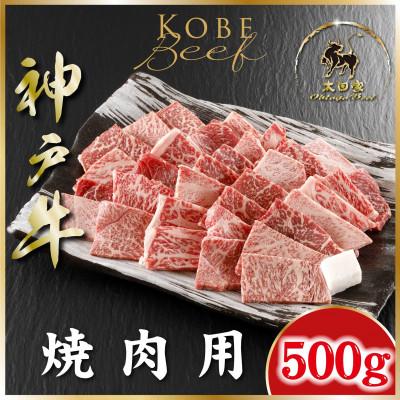 ふるさと納税 朝来市 神戸牛(神戸ビーフ) 焼き肉用 牛脂付き 500g ASGY2 [2026年4月より順次発送]