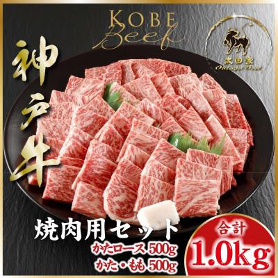 ふるさと納税 朝来市 神戸牛(神戸ビーフ) 焼き肉用セット 計1Kg ASGYS5 [2026年4月より順次発送]