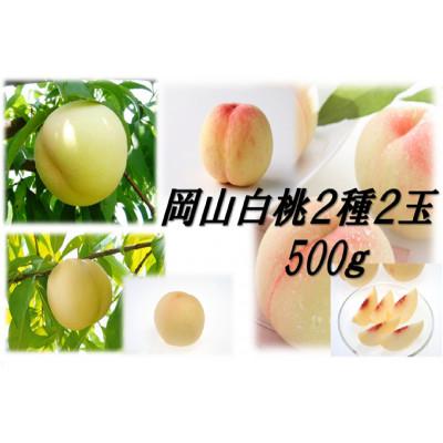 ふるさと納税 西粟倉村 岡山白桃 2種2玉 500g