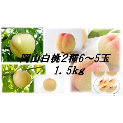 ふるさと納税 西粟倉村 岡山白桃食べ比べ 晩生2種類5〜6玉