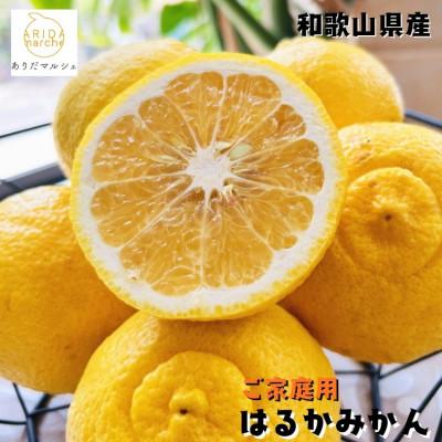 ふるさと納税 広川町 [先行受付・2026年1月〜発送][人気柑橘]有田育ちのご家庭用はるかみかん 2kg