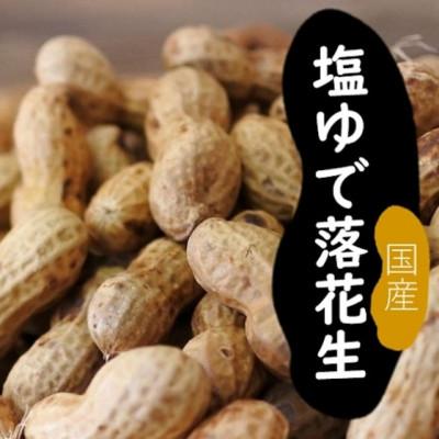 ふるさと納税 大村市 塩ゆで落花生 合計約400g(約200g×2袋)