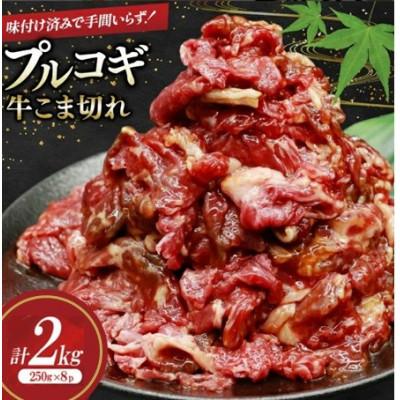 ふるさと納税 三田市 牛肉 プルコギ 牛こま切れ 計2kg 250g×8p 個包装