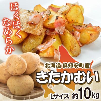 ふるさと納税 倶知安町 R8年産 先行受付 北海道産じゃがいも きたかむい Lサイズ 約10kg 馬鈴薯 北海道倶知安町