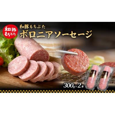 ふるさと納税 大河原町 和豚 もちぶた ボロニアソーセージ 300g×2本