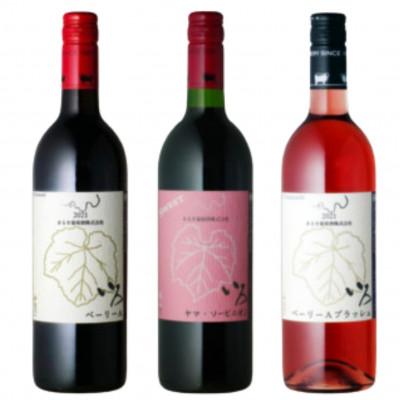 ふるさと納税 甲州市 まるき[いろシリーズ]計3本いろベーリーAいろヤマ・ソービニオンいろベーリーAブラッシュC-1659