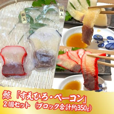 ふるさと納税 長崎市 長崎産「すえひろ・ベーコン」2個セット (ブロック合計 約350g)