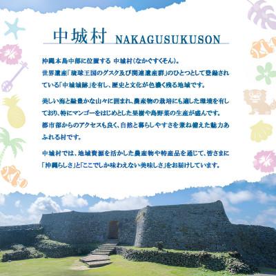 ふるさと納税 中城村 【業務用・沖縄料理】沖縄ホーメル 三枚肉煮付け 1kg(1kg×1P) |  | 03