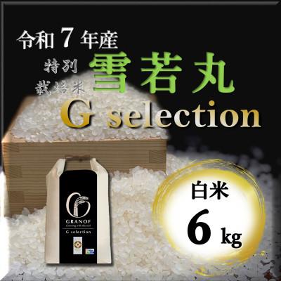 ふるさと納税 鶴岡市 [令和7年産]山形県鶴岡産 Gセレクション 雪若丸 白米 6kg