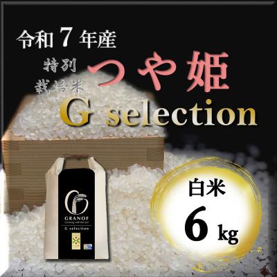 ふるさと納税 鶴岡市 [令和7年産]山形県鶴岡産 Gセレクション つや姫 白米 6kg