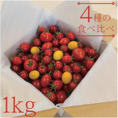 ふるさと納税 鹿沼市 [栃木県産]あま〜い高糖度フルーツトマト「とまおとめ」食べ比べ 1kg