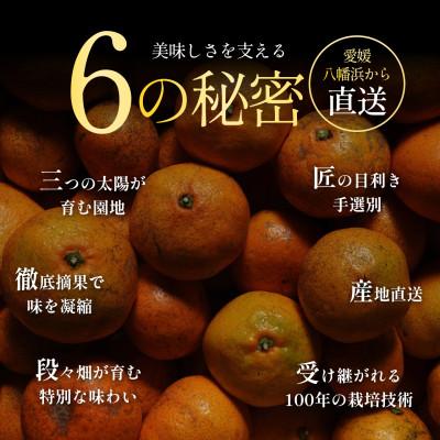 ふるさと納税 八幡浜市 【今シーズン発送開始】五代目が厳選!訳あり愛媛みかん 11kg 新口農園【C70-136】 |  | 01
