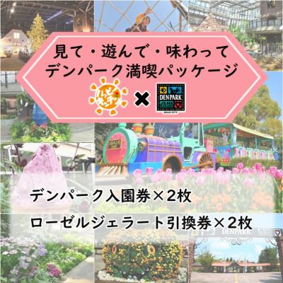 ふるさと納税 安城市 デンパーク入園券2枚+ローゼルジェラート引換券2枚/愛知県安城市