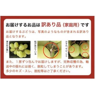 ふるさと納税 小布施町 【2026年発送】【訳あり】シャインマスカット 約1.2kg 2〜3房 [A-228] |  | 03