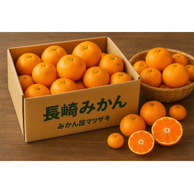 ふるさと納税 長崎市 [樹上完熟]長崎みかん(肥のあけぼの)計3kg