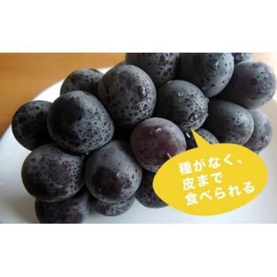 ふるさと納税 小布施町 【2026年発送】高級ぶどう味比べ詰合せ ナガノパープル & シャインマスカット 約2kg 3〜4房 |  | 02