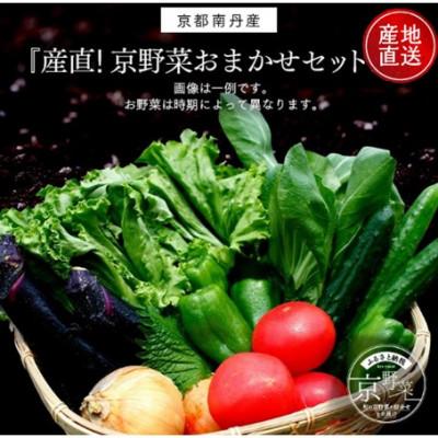 ふるさと納税 南丹市 [産地直送]旬のお野菜詰め合わせ 京野菜セット 6〜8種類