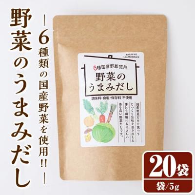 ふるさと納税 春日市 野菜のうまみだし100g(5g×20袋)