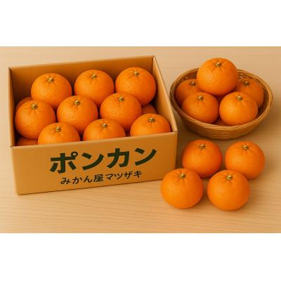 ふるさと納税 長崎市 [樹上完熟]長崎みかん(ポンカン)計3kg