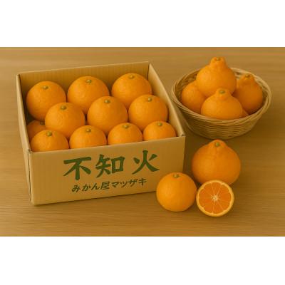 ふるさと納税 長崎市 [樹上完熟]長崎みかん(不知火デコポン近縁種)計3kg