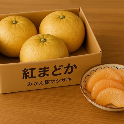 ふるさと納税 長崎市 [樹上完熟]長崎みかん(紅まどか・文旦・ザボン)計5kg