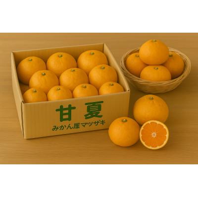 ふるさと納税 長崎市 [樹上完熟]長崎みかん(甘夏みかん)計5kg