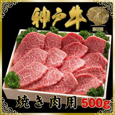 ふるさと納税 新温泉町 神戸牛(神戸ビーフ)焼き肉用 500g