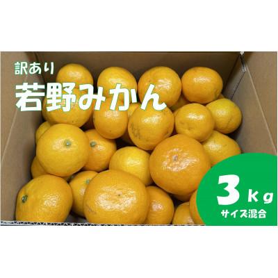 ふるさと納税 日高川町 [家庭用・サイズ混合] 訳あり 若野みかん(約3kg)
