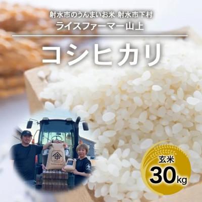 ふるさと納税 射水市 [農家直送][射水の美味しいお米]R7年産コシヒカリ30kg[玄米]