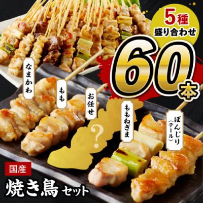 ふるさと納税 京丹後市 [国産]焼き鳥セット 5種 60本 盛り合わせ (10本×6パック) もも ぼんじりなど食べ比べ