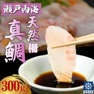 ふるさと納税 竹原市 瀬戸内「天然」真鯛 お刺身用 300g 柵でお届け(急速冷凍)| 便利な小分け 100gパック