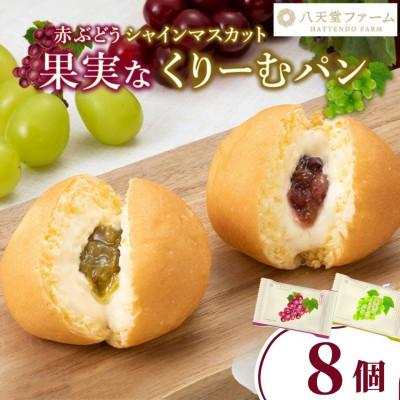 ふるさと納税 竹原市 八天堂ファーム 果実なくりーむパンぶどう2種セット計8個(シャインマスカット4個・赤ぶどう4個)