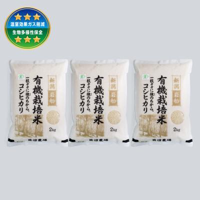 ふるさと納税 村上市 [令和7年産米]有機栽培米コシヒカリ 白米6kg(2kg×3袋) 新潟県村上市岩船産 1067150