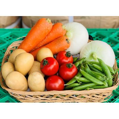 ふるさと納税 牧之原市 [5品]畑から採りたて発送!静岡厳選野菜セット