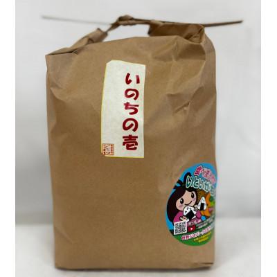 ふるさと納税 糸魚川市 新潟県産 糸魚川産 令和7年産 いのちの壱 100% 精米 3kg