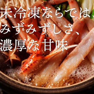 ふるさと納税 琴浦町 【2026年12月〜2027年1月発送】特撰 松葉がに(生)【タグ付き】1kg2杯 N53_Iの画像