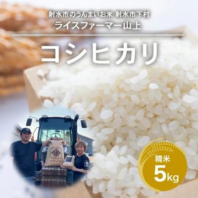 ふるさと納税 射水市 [農家直送][射水の美味しいお米]R7年産コシヒカリ5kg 精米