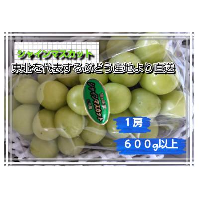 ふるさと納税 南陽市 [東北を代表するぶどう産地から直送]シャインマスカット 1房(600g以上)[S2607]