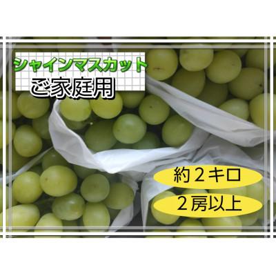 ふるさと納税 南陽市 [ご家庭用:粒が小さめ]シャインマスカット 約2kg(2房以上)[S2609]