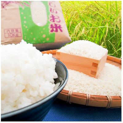 ふるさと納税 潮来市 潮来市産 令和7年産特別栽培米コシヒカリ精米5kg